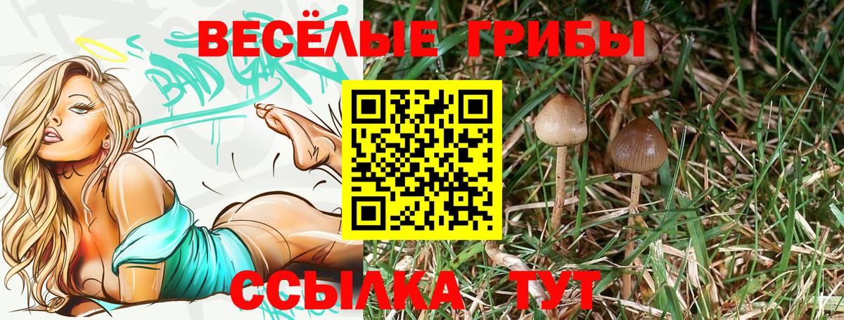 Галлюциногенные грибы прущие грибы  купить наркоту  Асбест  Вход с VPN 