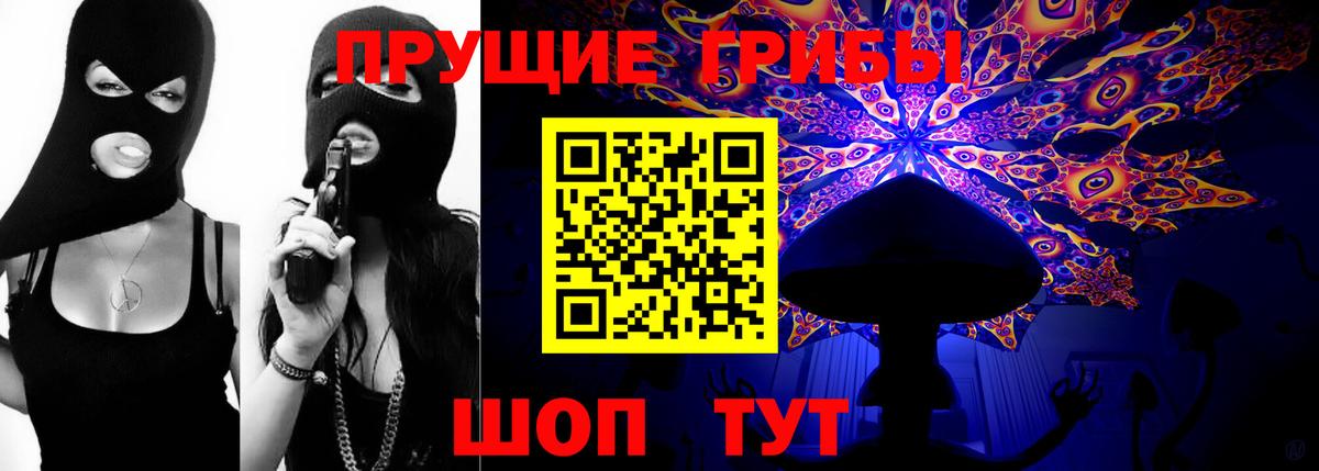 Псилоцибиновые грибы Psilocybe Асбест